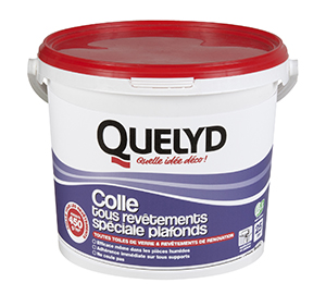 QUELYD COLLE TOUS REVETEMENTS SPECIALE PLAFONDS EN SEAU DE 6 KG